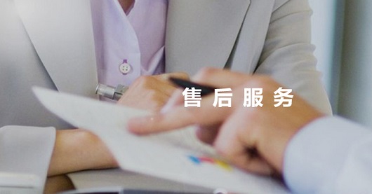 专业化团队与质量保证